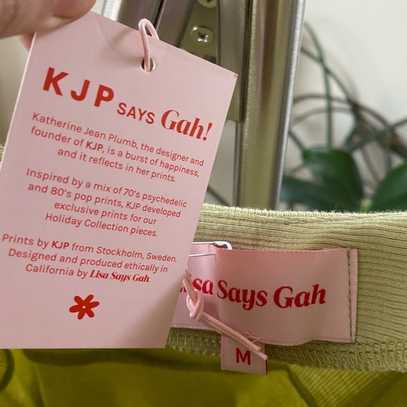 Lisa Says Gah Gwen Dress in Sage (Sold Out) - Picture 10 of 10